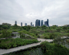 Benchakitti Forest Park Bangkok Thailand, corporate photography by Peter Mikolas 